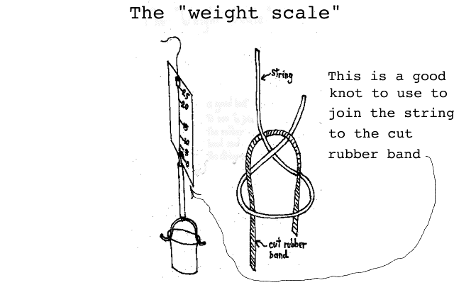 Complete Weight Scale + knot