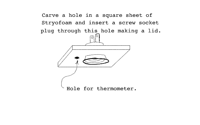 Diagram showing how to construct stryofoam lid to hold bulb socket