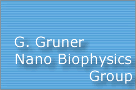 G. Gruner Solid State Physics Group