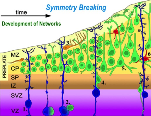 Neural_Network_Developement