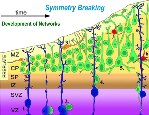 Neural_Network_Developement
