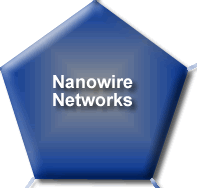 Nanowire Networks